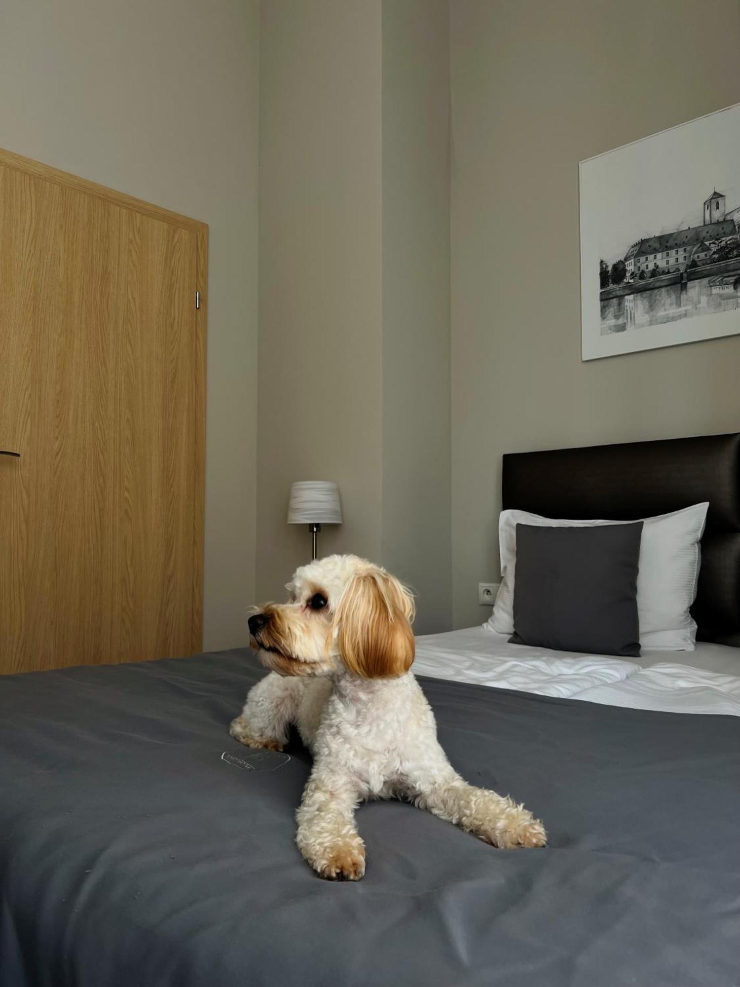 Joyinn Aparthotel Wrocław Eksteriør bilde